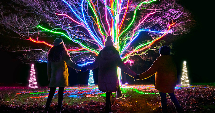 Gibside Neon tree by Culture Creative mychristmastrails 2020 photo by Richard Haughton Sony Music.GS